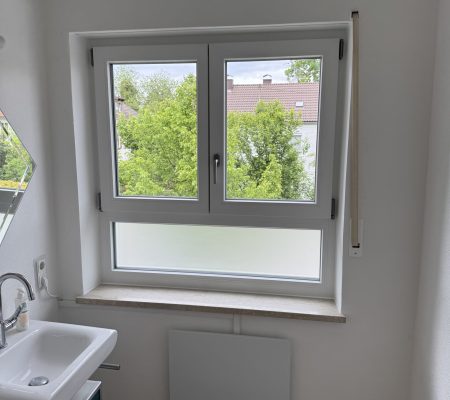 Fenster 20