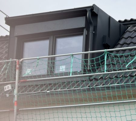 Fenster 30